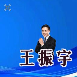 王振宇